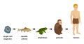 life progression from single cell organism to aquatic animal, amphibian, primate, and modern human Royalty Free Stock Photo